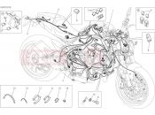 DUCATI Monster 821 Stripe WIRING HARNESS [MOD:M821 STR]
