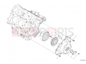 DUCATI 2019 Superbike Panigale V4 GENERATOR COVER [MOD:PANV4]