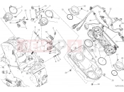 DUCATI Monster 821 THROTTLE BODY [MOD:M 821]