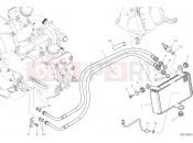 DUCATI Multistrada 1260 Enduro OIL COOLER [MOD:MS1260E]