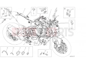 DUCATI Monster 821 Stealth WIRING HARNESS [MOD:M821STEA]