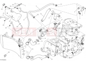 DUCATI 2021 Monster 1200 COOLING SYSTEM [MOD:M 1200]