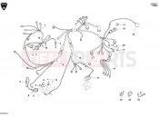 DUCATI Superbike 999 RS WIRING HARNESS » WIRING HARNESS