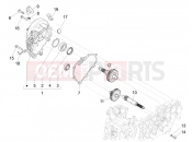 Reduction unit - Piaggio Liberty 125 Poste 2019