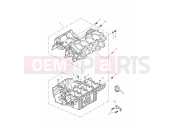 Crankcases - Triumph DAYTONA 600 & 650 2005