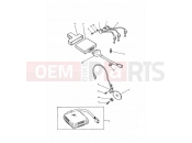 Triumph 1994 TRIDENT Ignition System