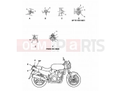 Triumph 1996 SPEED TRIPLE (CARBS) Bodywork Fixings