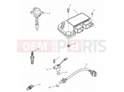 TRIUMPH SPEED TRIPLE 141872 > 210444 Engine Management System