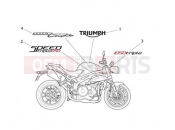 TRIUMPH SPEED TRIPLE 461332 > 735437 Decals 657553