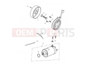 Triumph 2013 SPEED TRIPLE R > 735336 Starter & Alternator