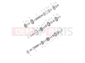 Transmission - Triumph SPEED TRIPLE S 867685 > 2019