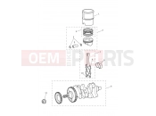 Crankshaft, Connecting Rods... - Triumph SPEED TRIPLE S 867685 > 2019