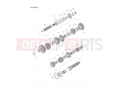 Triumph 2005 SPEED FOUR Transmission