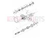 TRIUMPH TIGER EXPLORER XRX 740277 > Transmission