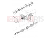 Triumph 2014 Tiger Explorer > 740276 TIGER EXPLORER Transmission