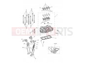 Triumph 2017 THRUXTON Cylinder Head & Valves