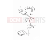 Triumph 1995 SPRINT CARBS Ignition System