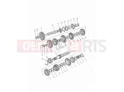 Triumph 1997 SPRINT CARBS Transmission