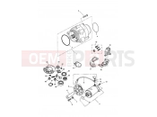 Triumph 1998 SPRINT CARBS Alternator & Starter