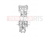 Triumph 2011 SPRINT GT Crankcase Bolts