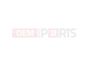TRIUMPH THUNDERBIRD COMMANDER Mudguards