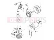 Triumph 2012 BONNEVILLE T100 EFI Starter & Alternator