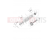 Triumph 2019 TIGER 800 XRX 855532 > Clutch