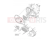 Triumph 2006 SPEEDMASTER CARBS Engine Covers