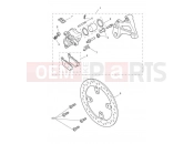 Triumph 2020 TIGER 900 Rear Brake Caliper & Disc