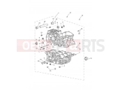 TRIUMPH TIGER 900 Rally Crankcase & Fittings