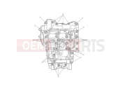 TRIUMPH TIGER 900 Rally Crankcase Bolts