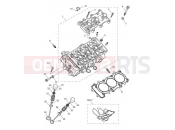 Triumph 2020 Tiger 900 Rally Pro Cylinder Head & Valves