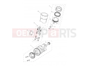Triumph 2020 TIGER 1200 XCX Crankshaft, Connecting Rods...