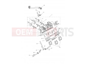 Triumph 2021 TIGER 1200 XR Throttles, Injectors...