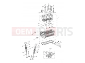 Triumph 2021 TIGER 1200 XRX Cylinder Head & Valves