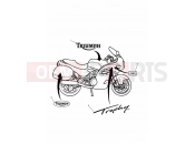 Triumph 1997 TROPHY 29156 > Bodywork - Decals