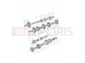 Triumph 1996 TROPHY > 29155 Transmission
