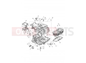 Triumph 2019 SPEED TWIN Crankcase & Fittings