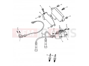 Triumph 2006 SCRAMBLER CARB Ignition System
