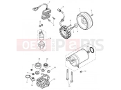 Triumph 2009 SCRAMBLER EFI Starter & Alternator
