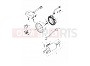 Triumph 2000 TT600 Alternator & Starter 171121 »