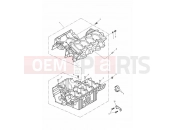 Triumph 2000 TT600 Crankcase