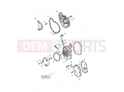 TRIUMPH TT600 Engine Covers