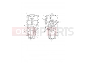 TRIUMPH THRUXTON 900 CARBS Crankcase Bolts