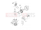 Triumph 2011 THRUXTON 900 EFI Starter & Alternator
