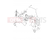 ABS Components - Triumph Street Triple RS > 966534 2021