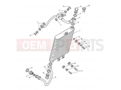 Triumph 2011 AMERICA EFI Oil Cooler
