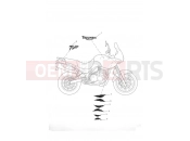 Decals - Triumph TIGER 955i 198875 > 2005