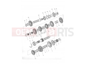 Transmission - Triumph TIGER 955i 198875 > 2005