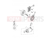 Triumph 2009 Tiger 1050 Starter & Alternator